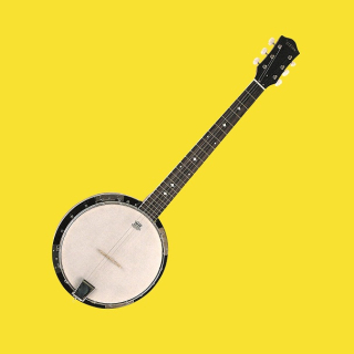 BANJO 6 STRUN VISION BLÁNA REMO !!! AKCE !!!